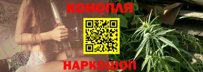 сатива Аша