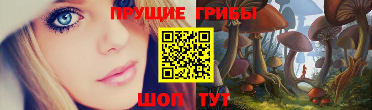 Екатеринбург  Псилоцибиновые грибы прущие грибы  Вход с VPN 